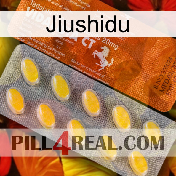 Jiushidu 42.jpg